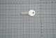 Заготовка ключа Canas VI 25