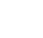 Bobcat