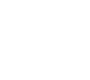 Vinfast